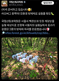 올해 러..