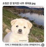 초첨은 ..