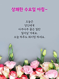 오늘의 ..