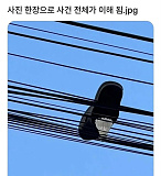 사진 한..