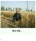 낫 놓고