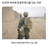 댕댕사..