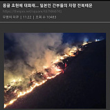 몽골 초..