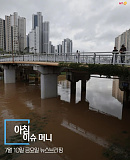 머니투..