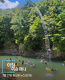 머니투..