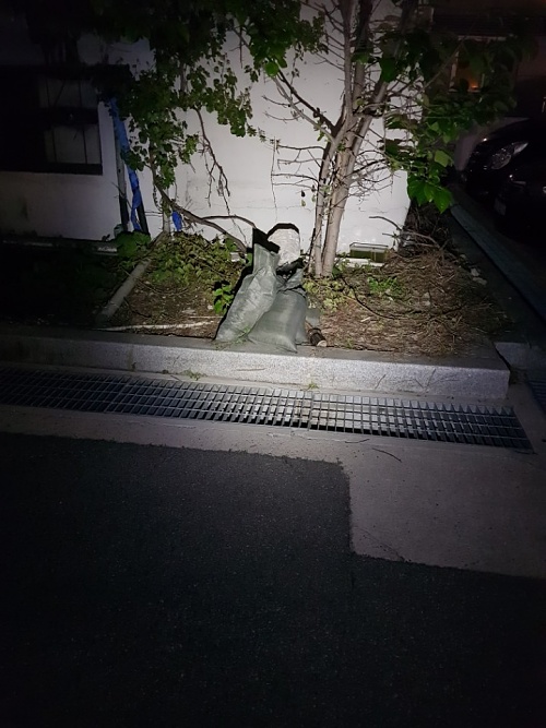 KakaoTalk_20180525_105916999.jpg